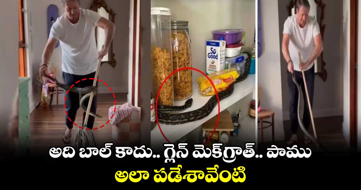 అది బాల్ కాదు.. గ్లెన్ మెక్గ్రాత్.. పాము.. అలా పడేశావేంటి..