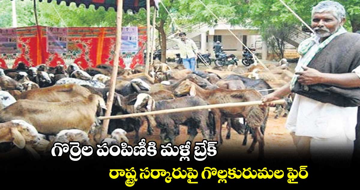 గొర్రెల పంపిణీకి మళ్లీ బ్రేక్.. రాష్ట్ర సర్కారుపై గొల్లకురుమల ఫైర్