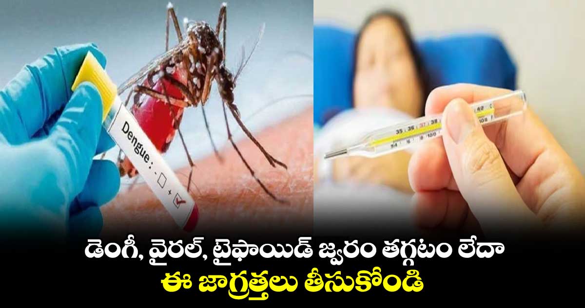 Health Alert : డెంగీ, వైరల్, టైఫాయిడ్ జ్వరం తగ్గటం లేదా.. ఈ జాగ్రత్తలు తీసుకోండి