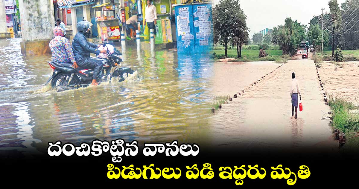 దంచికొట్టిన వానలు.. పిడుగులు పడి ఇద్దరు మృతి 