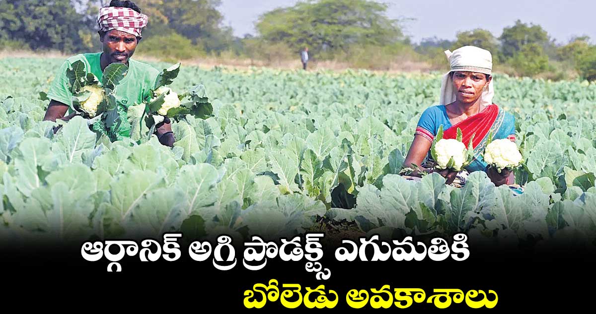 ఆర్గానిక్​ అగ్రి ప్రొడక్ట్స్ ఎగుమతికి బోలెడు అవకాశాలు