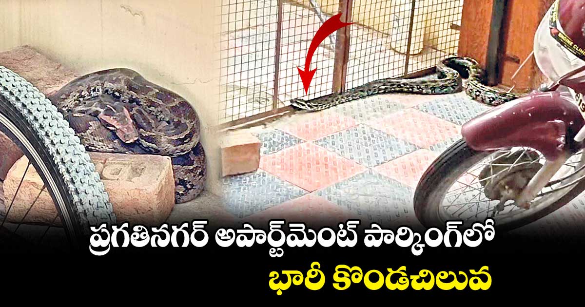 ప్రగతినగర్ అపార్ట్మెంట్ పార్కింగ్లో భారీ కొండచిలువ