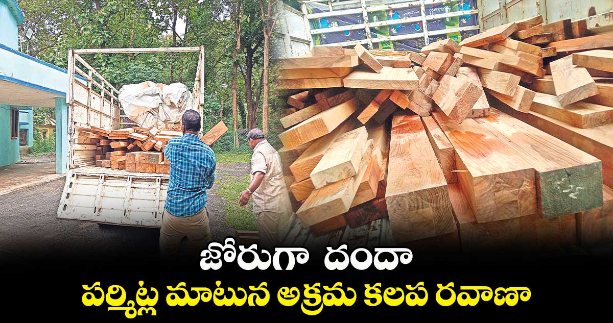 జోరుగా  దందా..  పర్మిట్ల మాటున అక్రమ కలప రవాణా