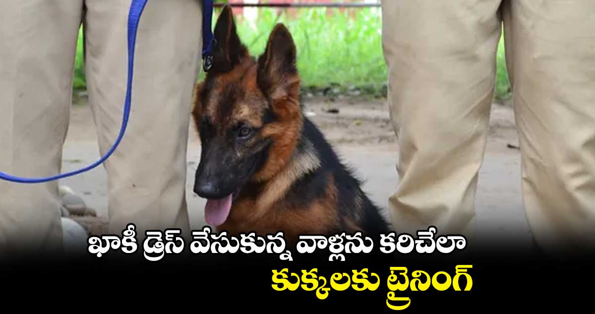 ఖాకీ డ్రెస్ వేసుకున్న వాళ్లను కరిచేలా.. కుక్కలకు ట్రైనింగ్