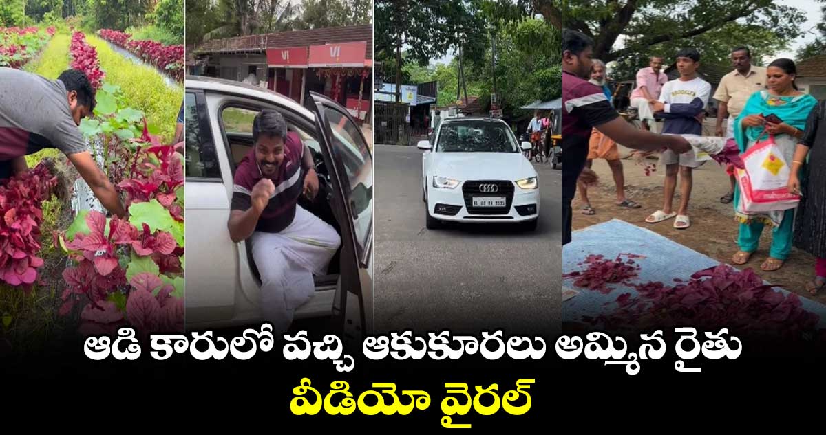 ఆడి కారులో వచ్చి ఆకుకూరలు అమ్మిన రైతు.. వీడియో వైరల్‌