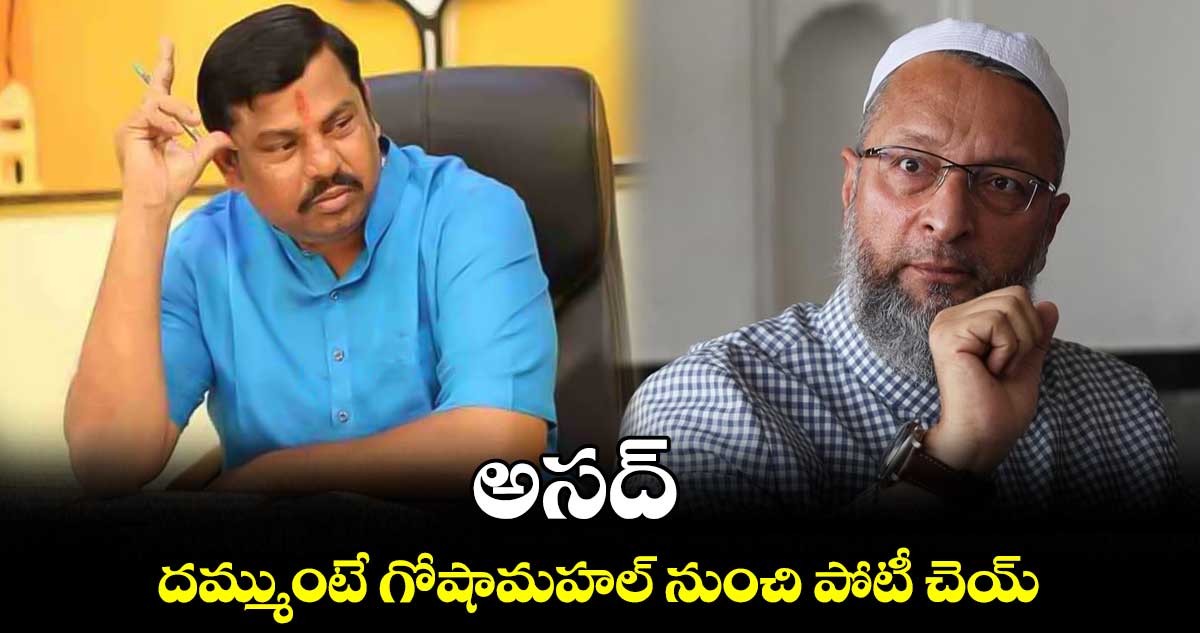 అసద్..​ దమ్ముంటే గోషామహల్ నుంచి పోటీ చెయ్​ : ఎమ్మెల్యే రాజాసింగ్ 