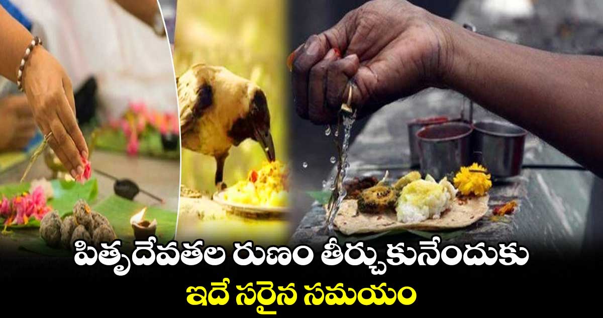 పితృదేవతల రుణం తీర్చుకునేందుకు ఇదే సరైన సమయం...