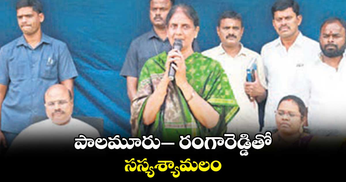 పాలమూరు– రంగారెడ్డితో సస్యశ్యామలం: సబితా రెడ్డి