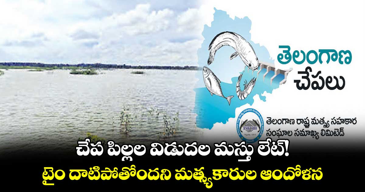 చేప పిల్లల విడుదల మస్తు లేట్​! .. టైం దాటిపోతోందని మత్స్యకారుల ఆందోళన