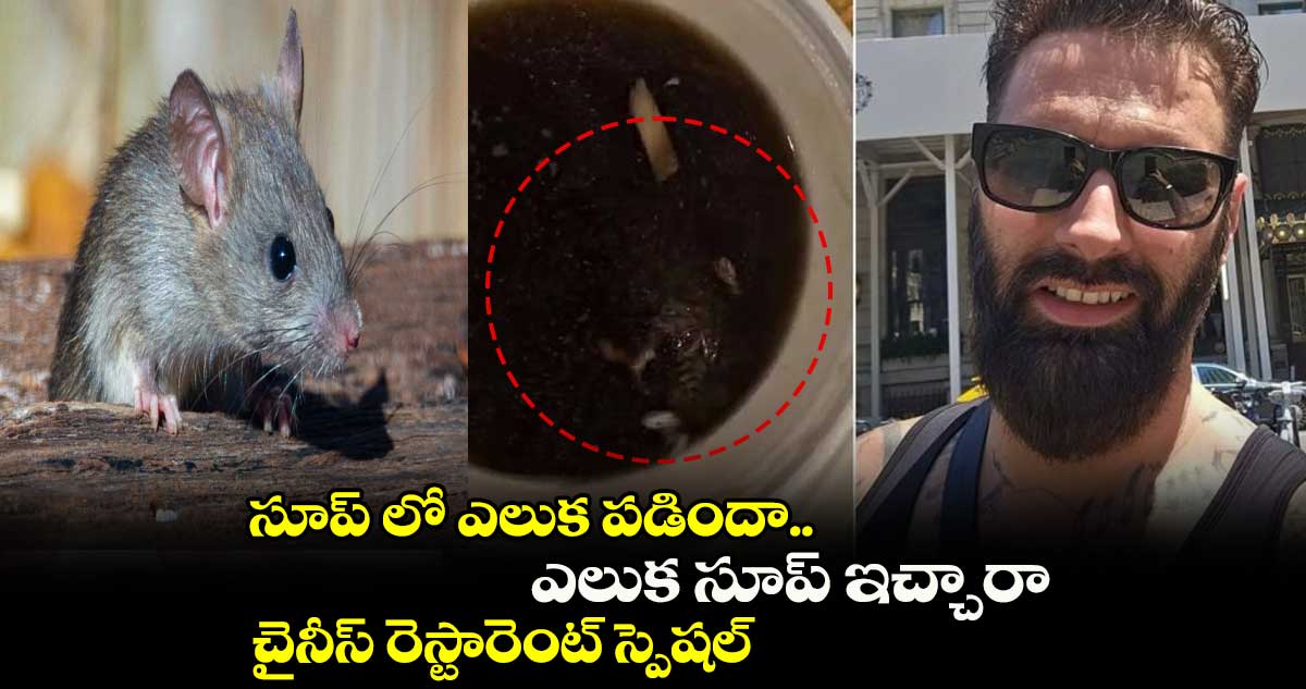 సూప్ లో ఎలుక పడిందా.. ఎలుక సూప్ ఇచ్చారా.. చైనీస్ రెస్టారెంట్ స్పెషల్