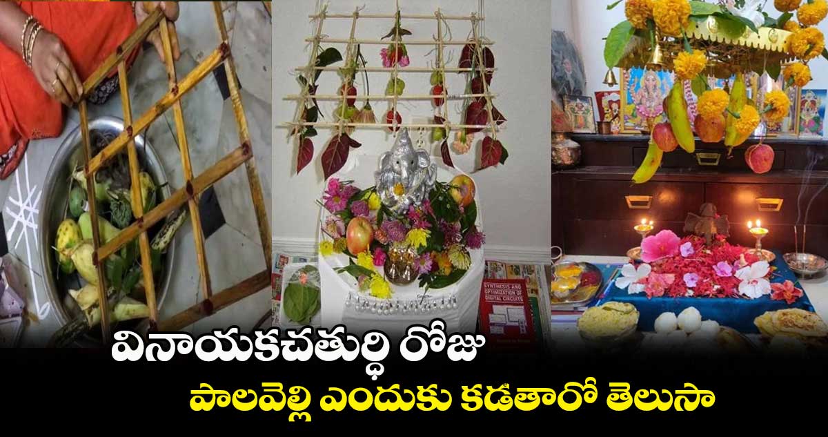 వినాయకచతుర్ధి రోజు పాలవెల్లి ఎందుకు కడతారో తెలుసా... 