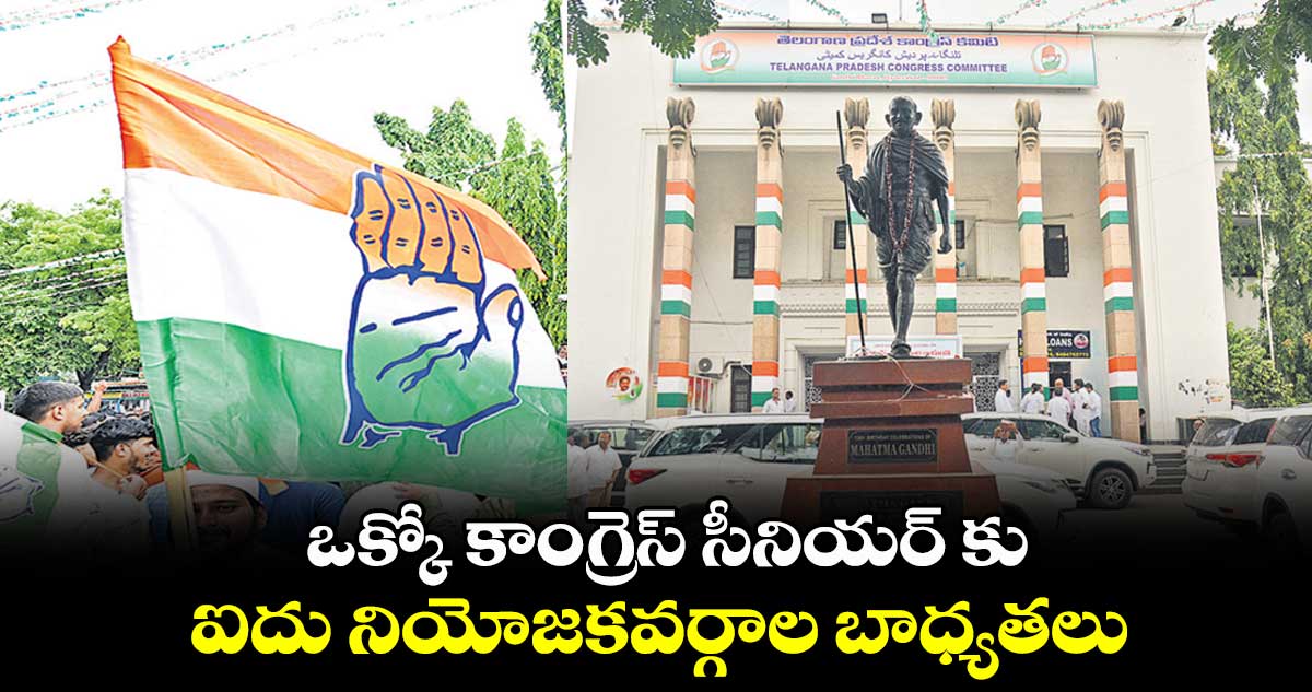 ఒక్కో కాంగ్రెస్ సీనియర్ కు.. ఐదు నియోజకవర్గాల బాధ్యతలు