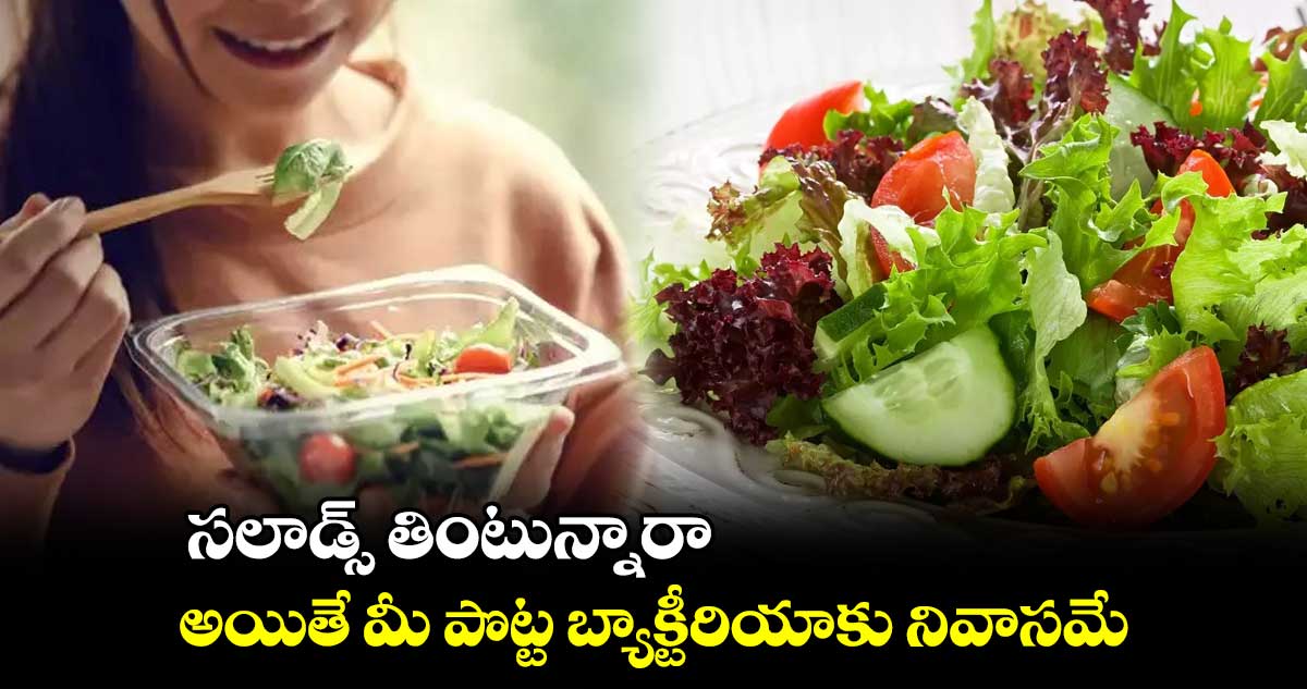  సలాడ్స్ తింటున్నారా...   అయితే మీ పొట్ట బ్యాక్టీరియాకు నివాసమే.. 