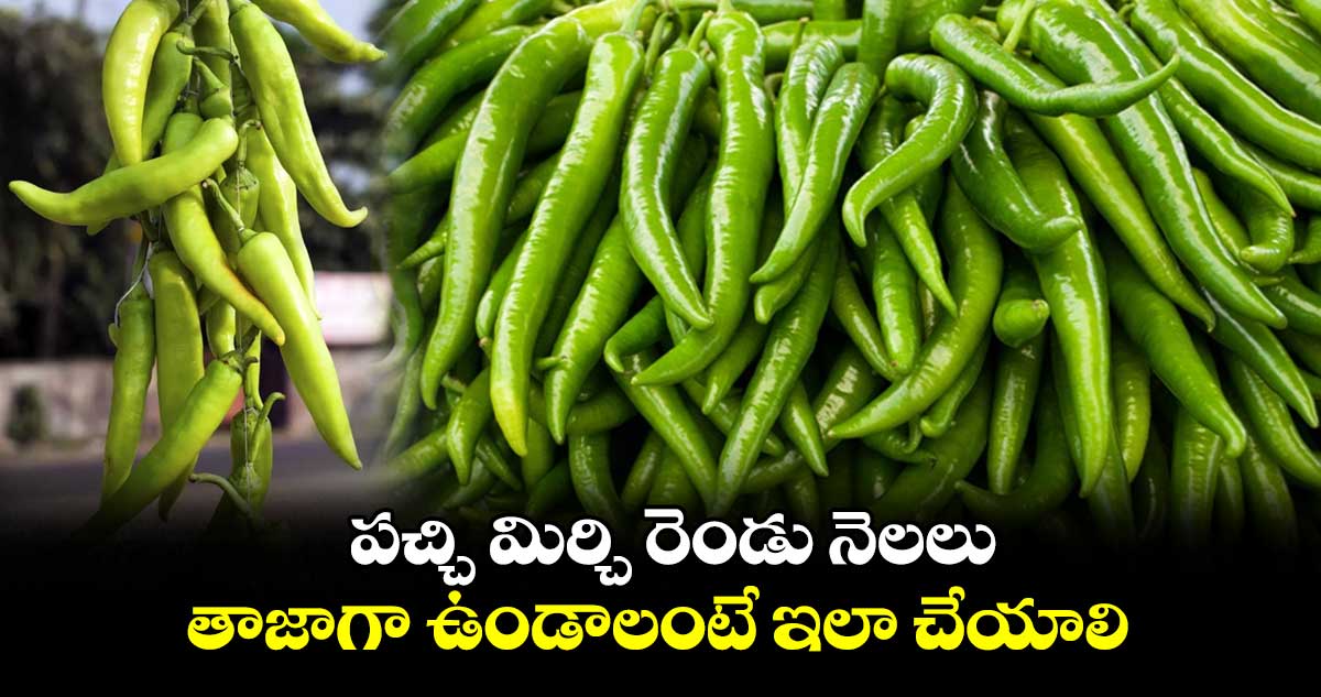 Kitchen Tips : పచ్చి మిర్చి రెండు నెలలు తాజాగా ఉండాలంటే ఇలా చేయాలి..!