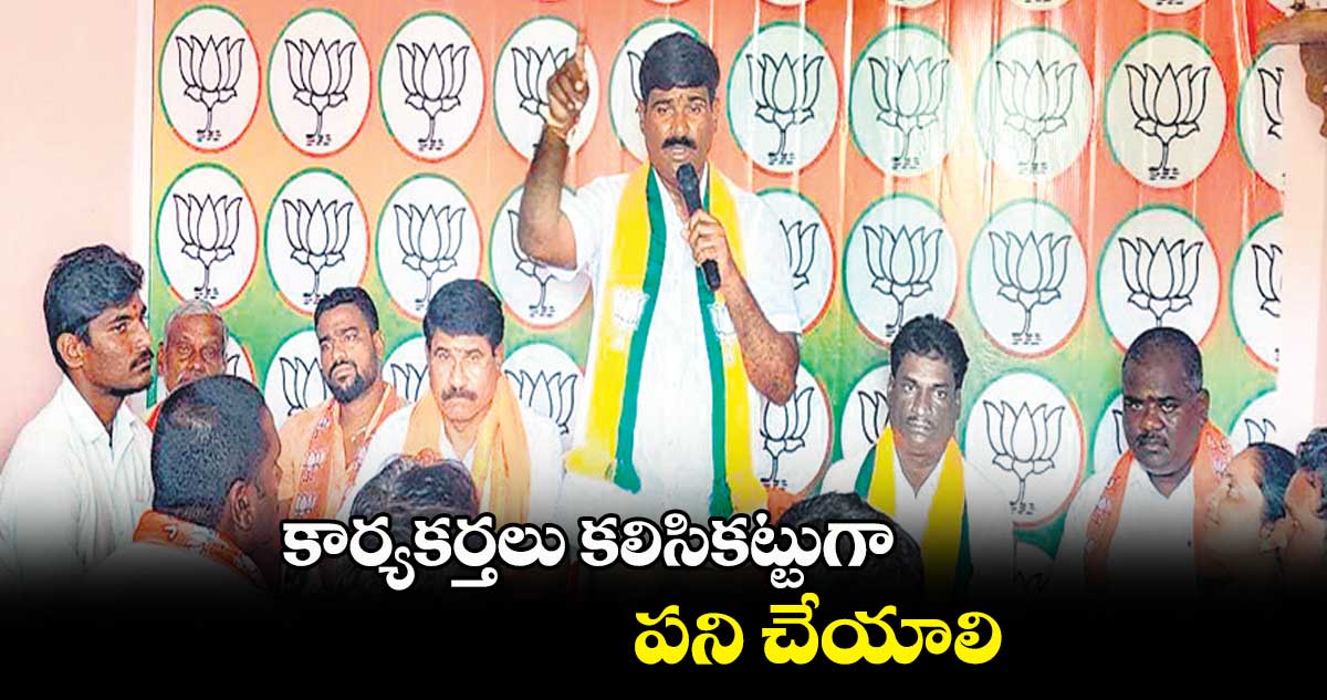 కార్యకర్తలు కలిసికట్టుగా పని చేయాలి: హరిశంకర్ గౌడ్