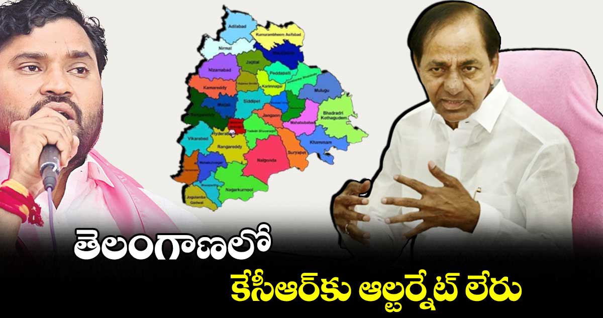 తెలంగాణలో కేసీఆర్కు ఆల్టర్నేట్ లేరు: ఏపూరి సోమన్న