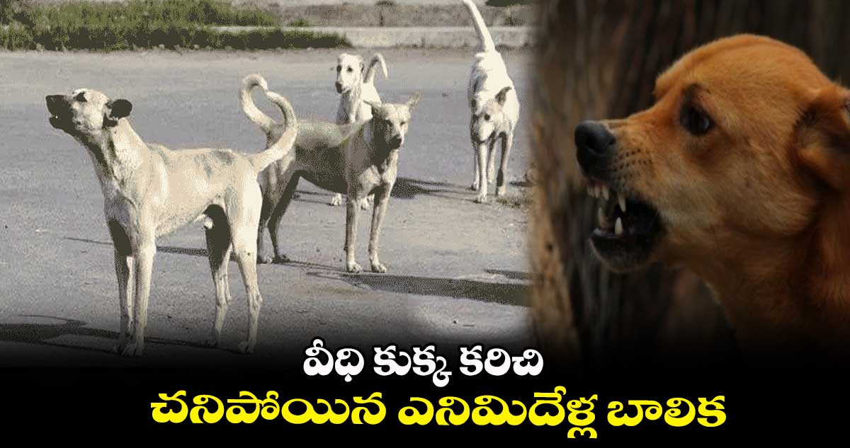వీధి కుక్క కరిచి.. చనిపోయిన ఎనిమిదేళ్ల బాలిక