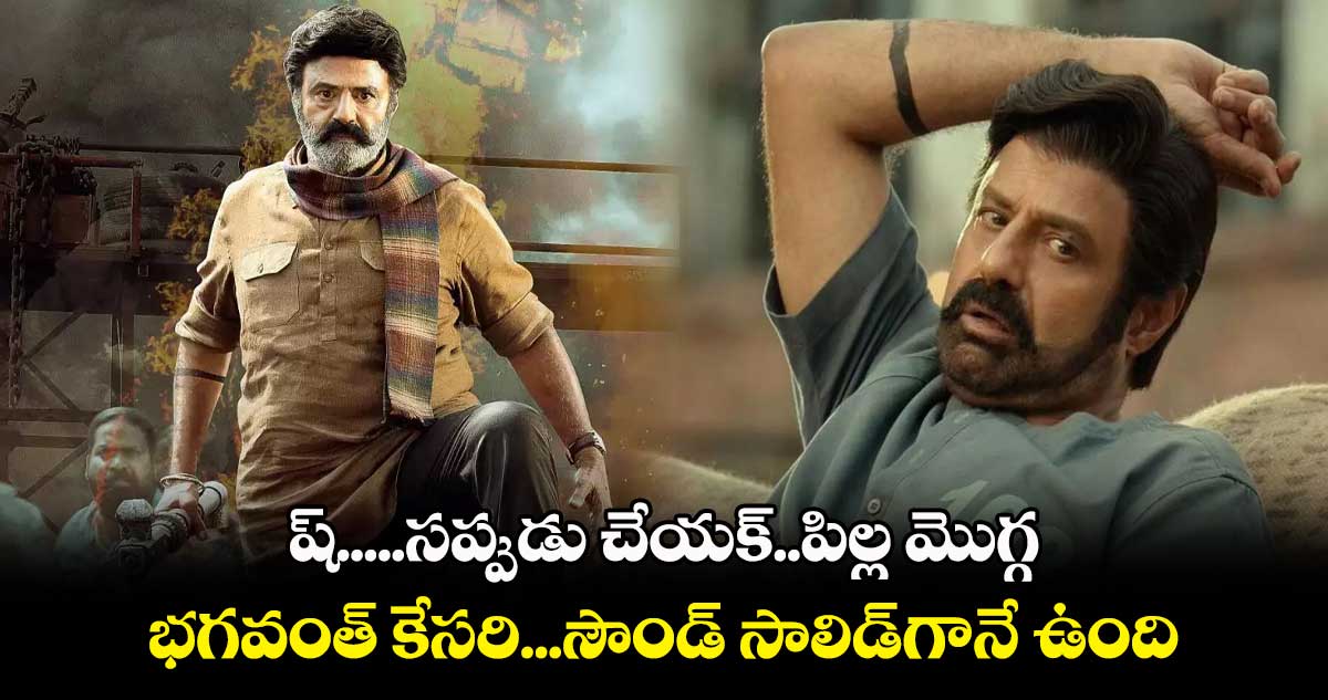 ష్.....సప్పుడు చేయక్..పిల్ల మొగ్గ.. భగవంత్ కేసరి...సౌండ్ సాలిడ్గానే ఉంది