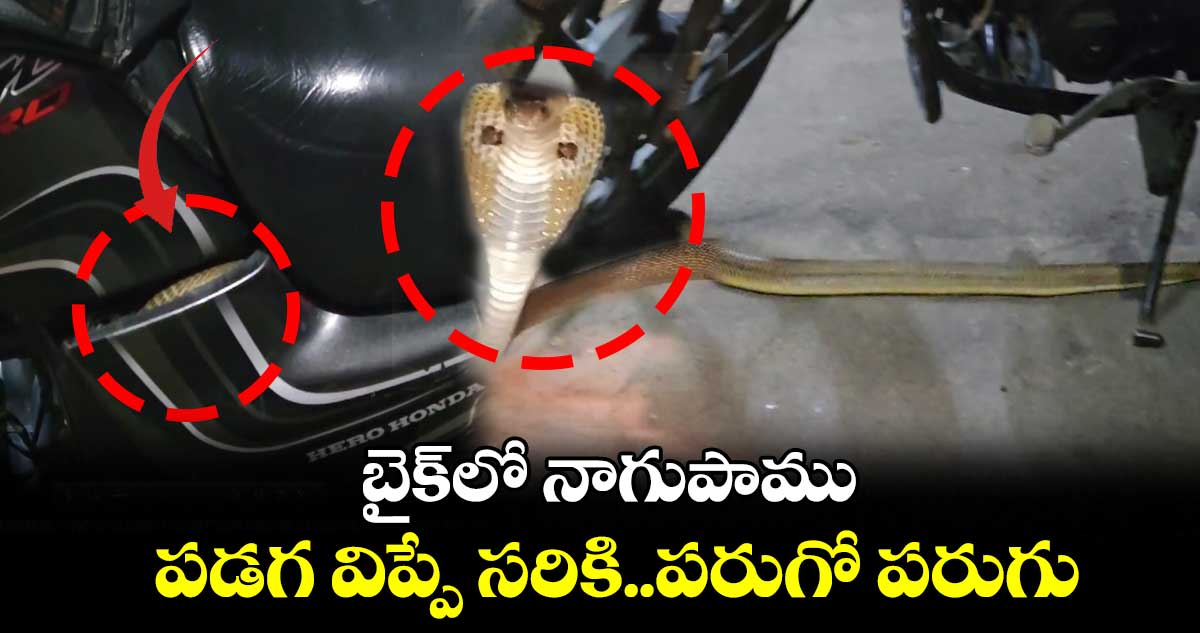 బైక్లో నాగుపాము.. పడగ విప్పే సరికి..పరుగో పరుగు