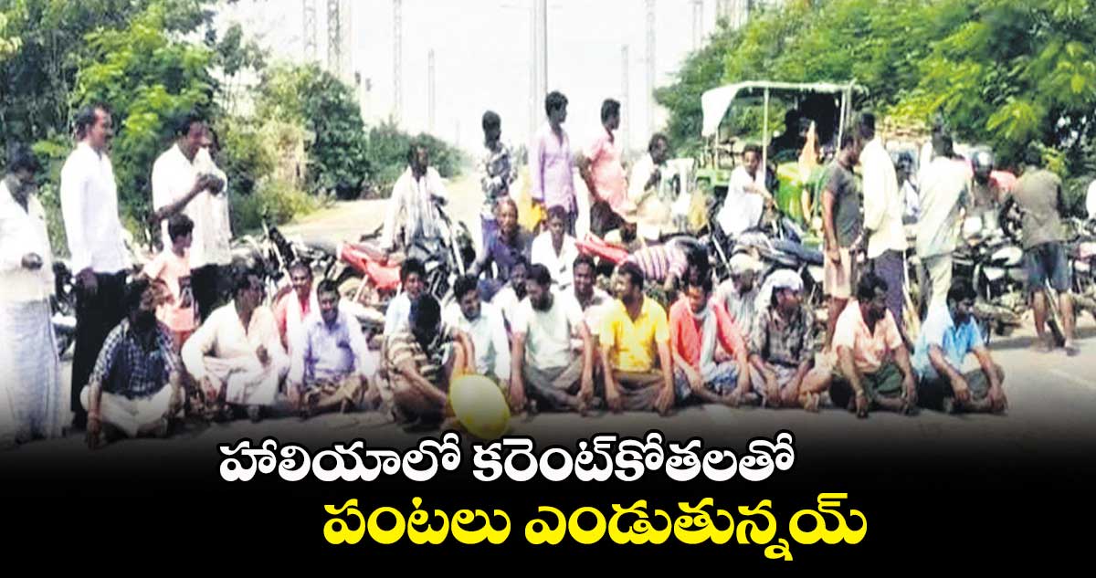 హాలియాలో కరెంట్కోతలతో పంటలు ఎండుతున్నయ్