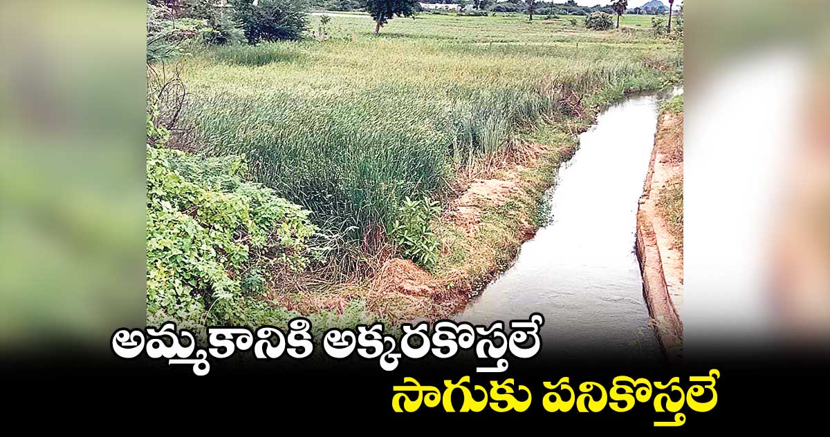 మహబూబాబాద్‌‌‌‌ లో అమ్మకానికి అక్కరకొస్తలే..  సాగుకు పనికొస్తలే