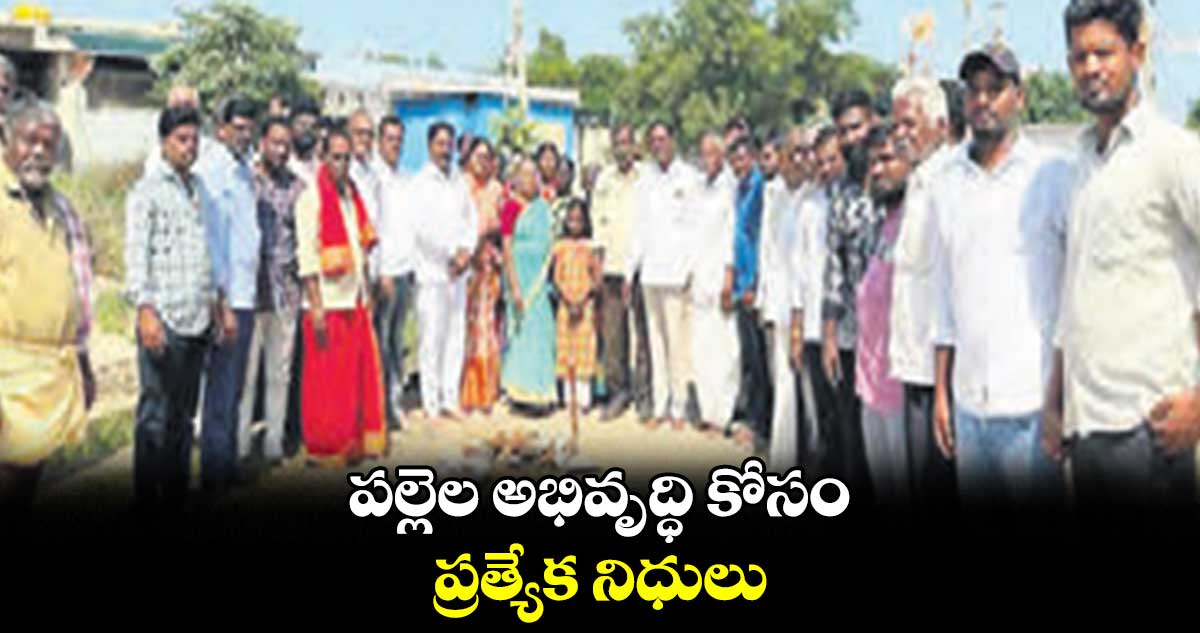 పల్లెల అభివృద్ధి కోసం ప్రత్యేక నిధులు: పైతర  మీనాక్షి