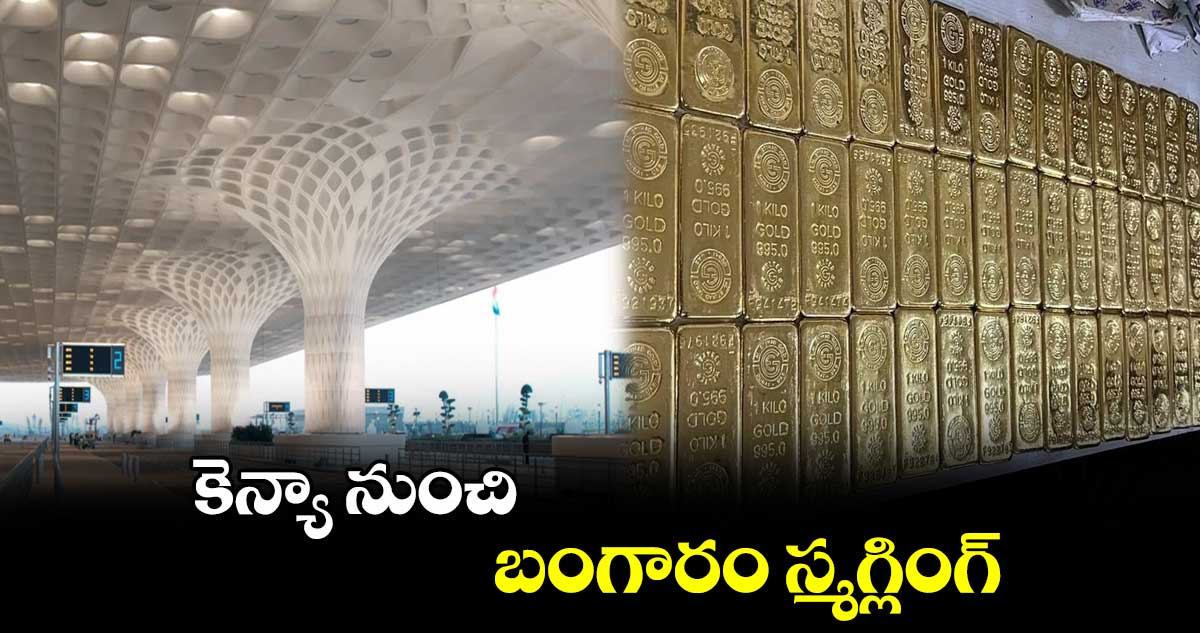 కెన్యా నుంచి బంగారం స్మగ్లింగ్..