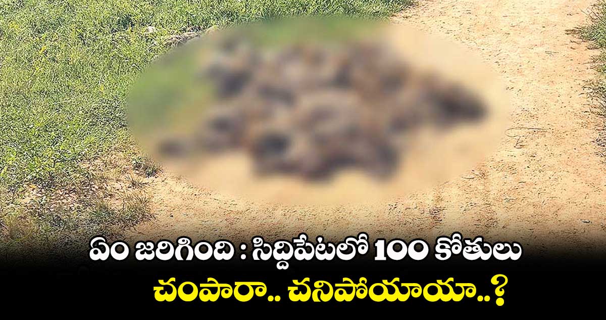 ఏం జరిగింది : సిద్దిపేటలో 100 కోతులు.. చంపారా.. చనిపోయాయా..?