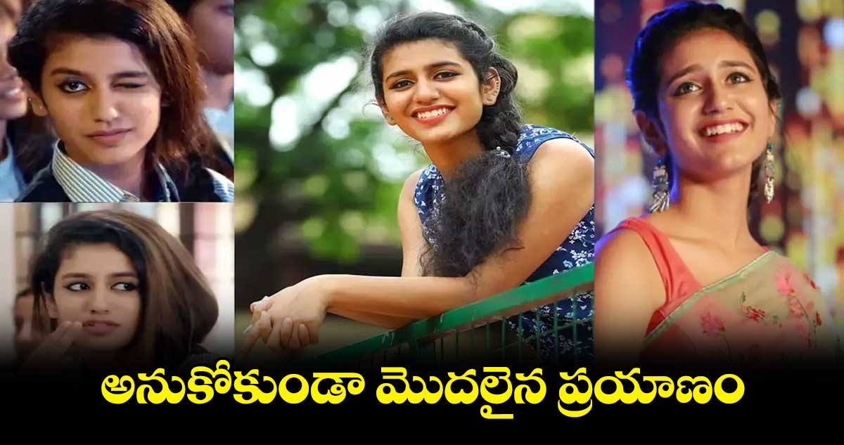 అనుకోకుండా మొదలైన ప్రయాణం: ప్రియా ప్రకాష్ వారియర్