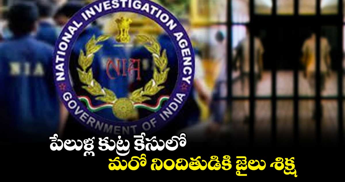 పేలుళ్ల కుట్ర కేసులో మరో నిందితుడికి జైలు శిక్ష
