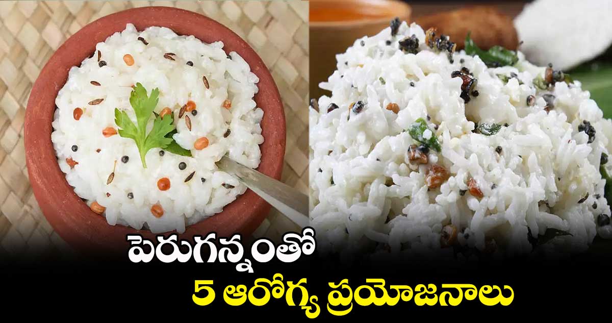 Good Health : పెరుగన్నంతో 5 ఆరోగ్య ప్రయోజనాలు