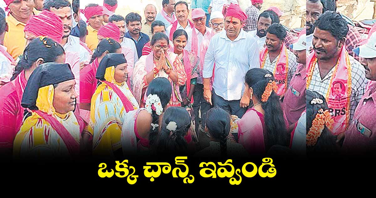 ఒక్క ఛాన్స్‌‌ ఇవ్వండి: బడే నాగజ్యోతి