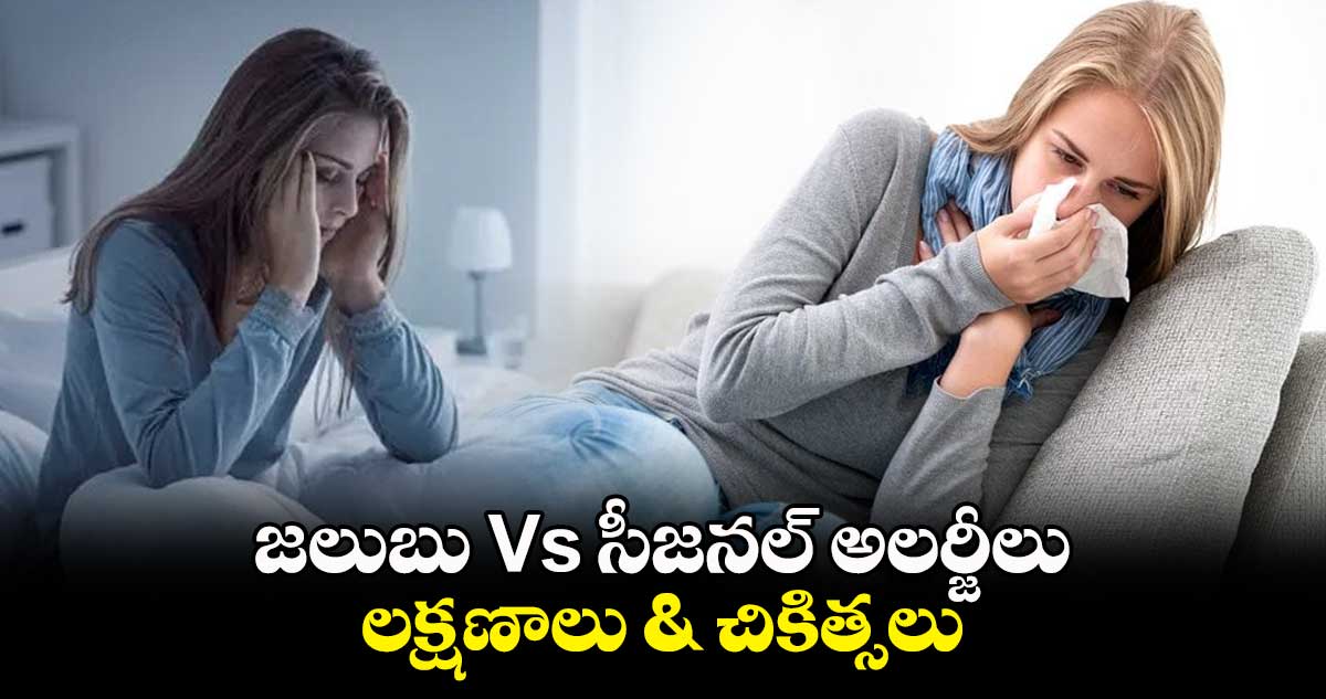 జలుబు Vs సీజనల్ అలర్జీలు.. లక్షణాలు & చికిత్సలు