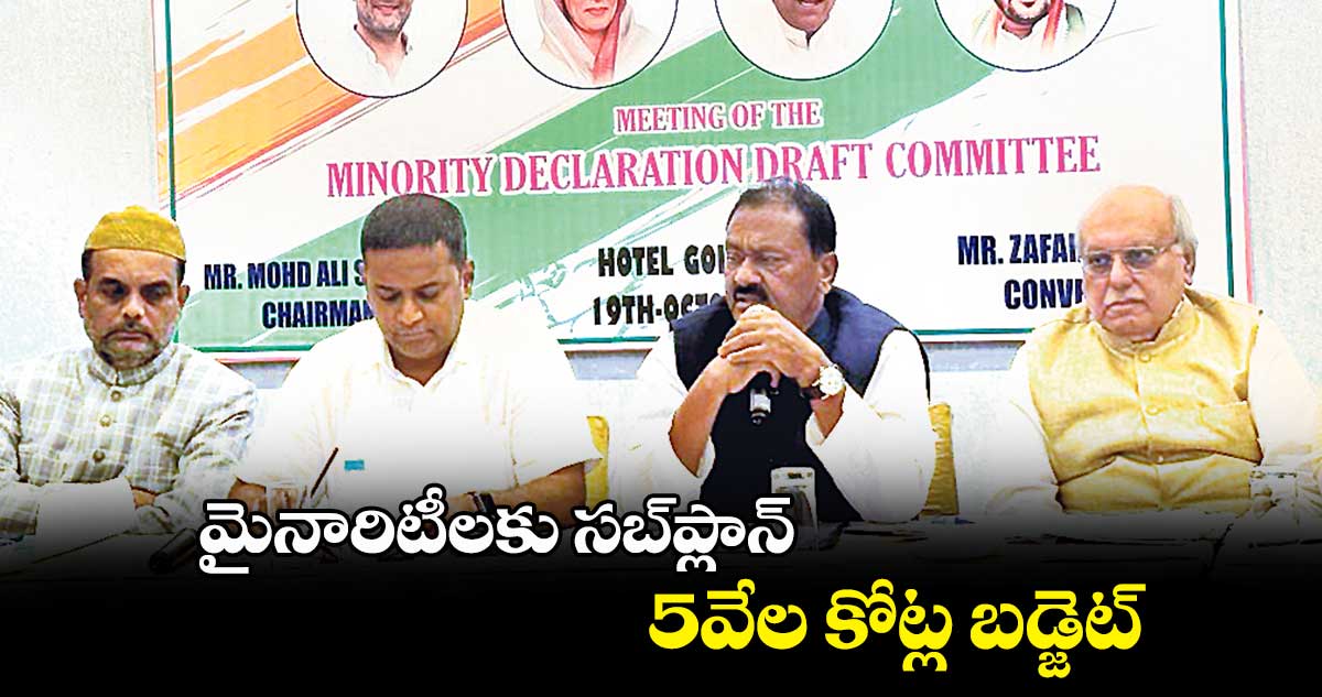 మైనారిటీలకు సబ్⁬ప్లాన్.. 5వేల కోట్ల బడ్జెట్: షబ్బీర్​అలీ