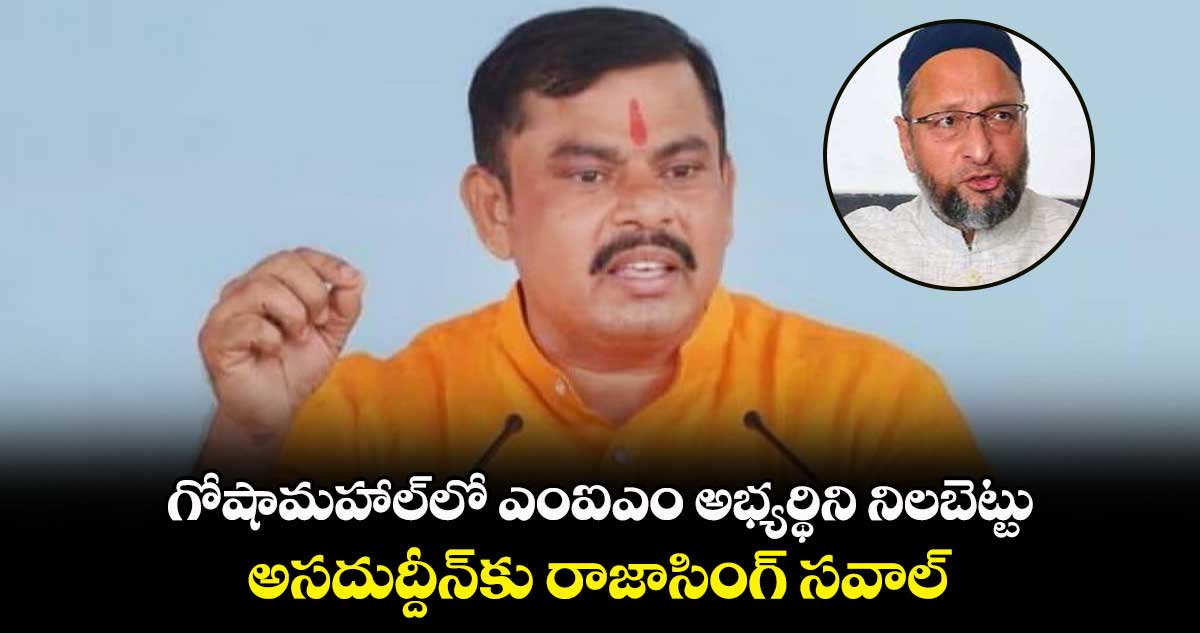 గోషామహాల్⁬లో ఎంఐఎం అభ్యర్థిని నిలబెట్టు: అసదుద్దీన్⁬​కు రాజాసింగ్ సవాల్​