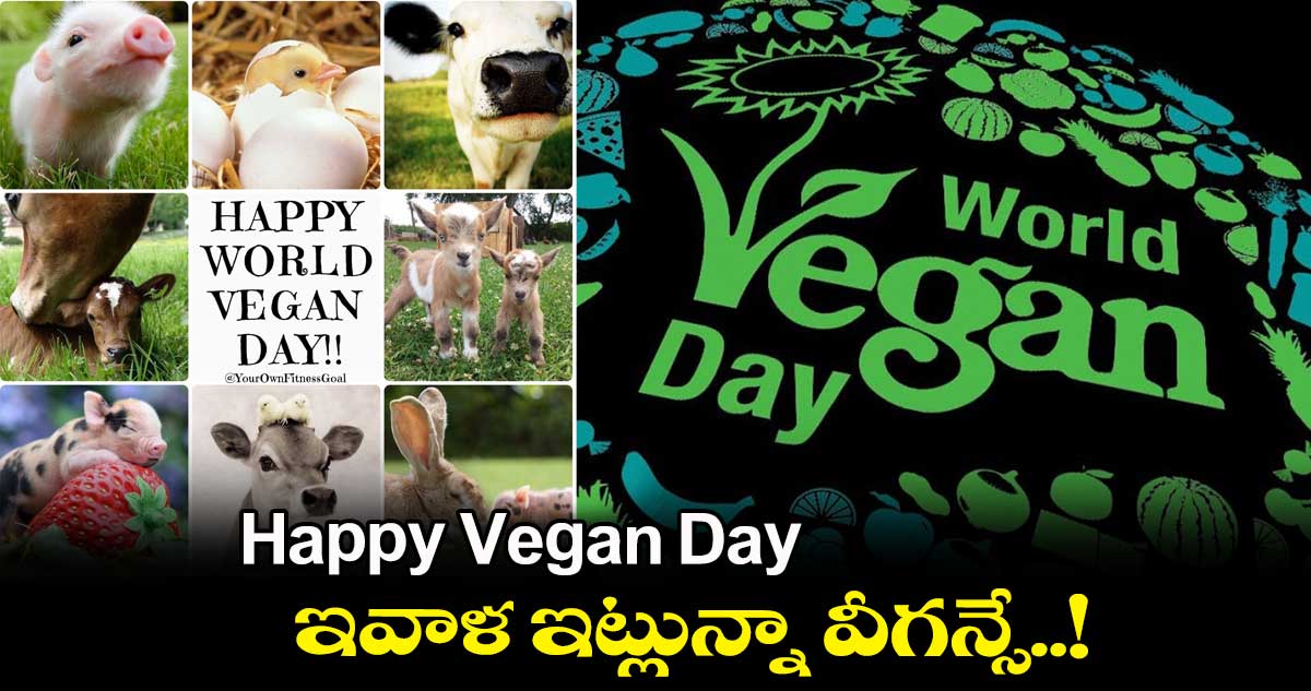 Happy Vegan Day : ఇవాళ ఇట్లున్నా వీగన్సే..!