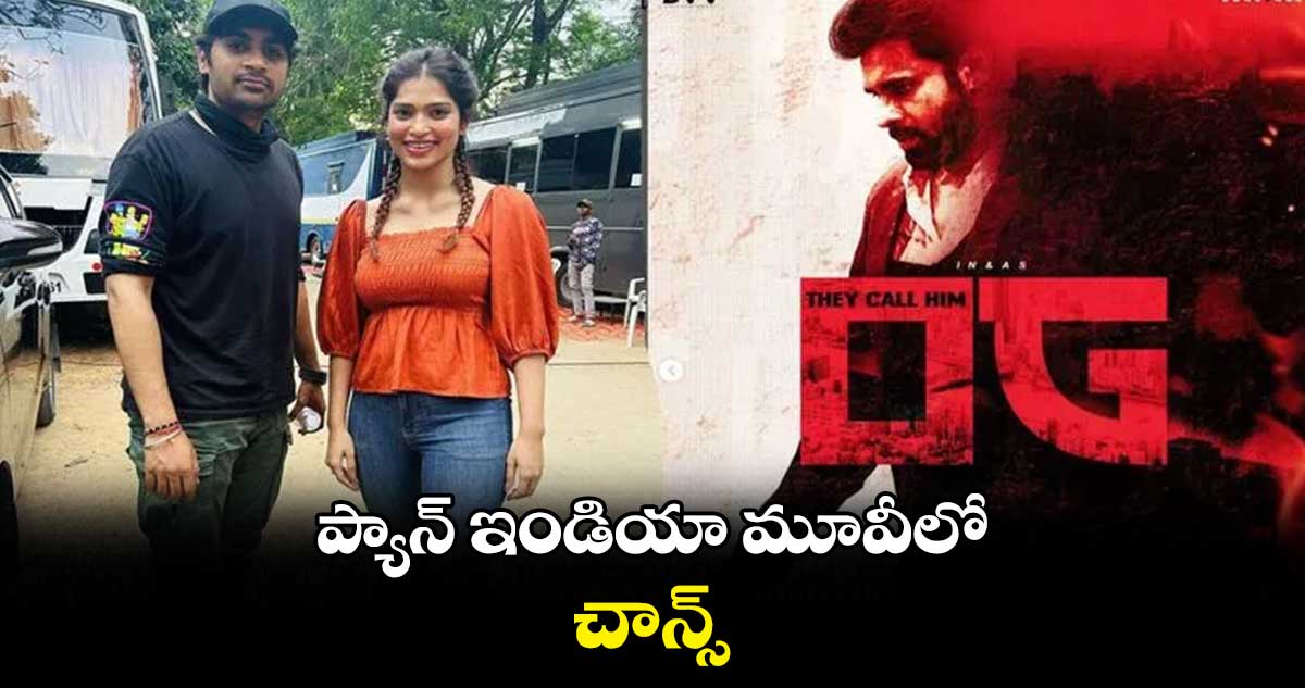 ప్యాన్​ ఇండియా మూవీలో చాన్స్​