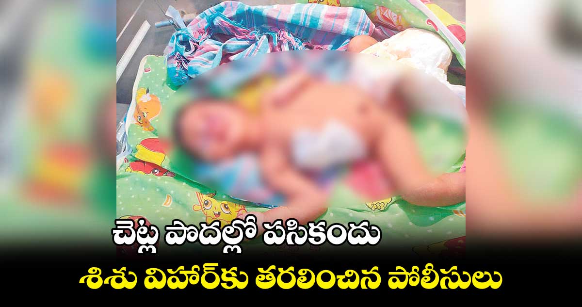 చెట్ల పొదల్లో పసికందు.. శిశు విహార్కు తరలించిన పోలీసులు