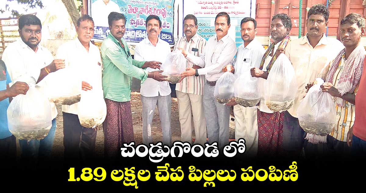 చండ్రుగొండ లో 1.89 లక్షల చేప పిల్లలు పంపిణీ