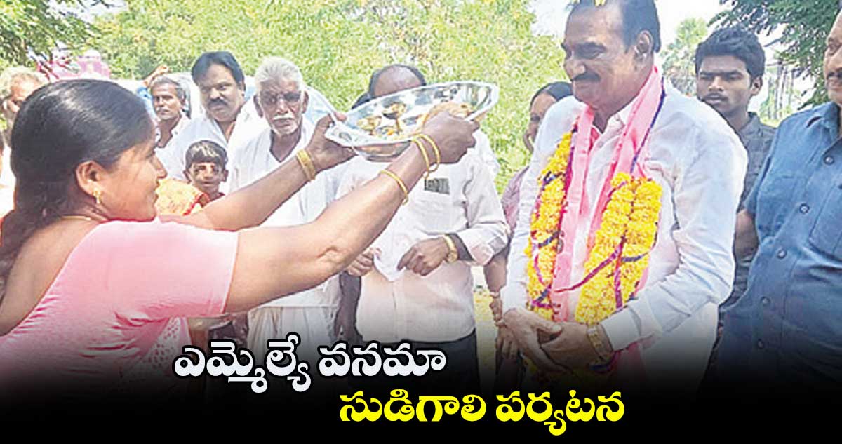 ఎమ్మెల్యే వనమా సుడిగాలి పర్యటన