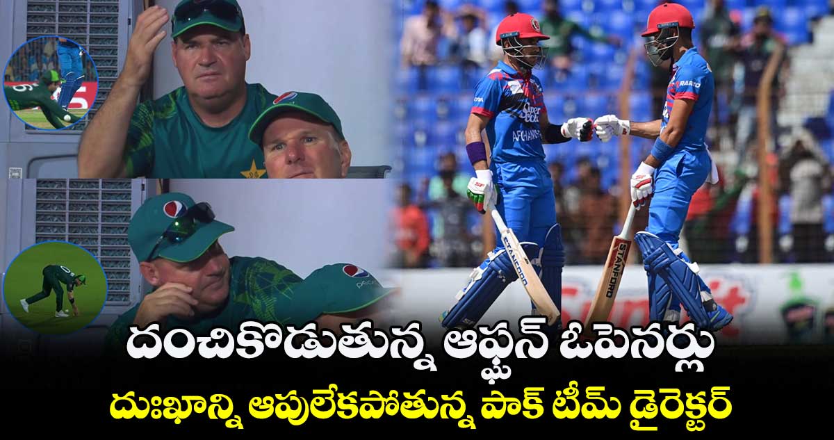 AFG vs PAK: దంచికొడుతున్న ఆఫ్ఘన్ ఓపెనర్లు.. దుఃఖాన్ని ఆపులేకపోతున్న పాక్ టీమ్ డైరెక్టర్