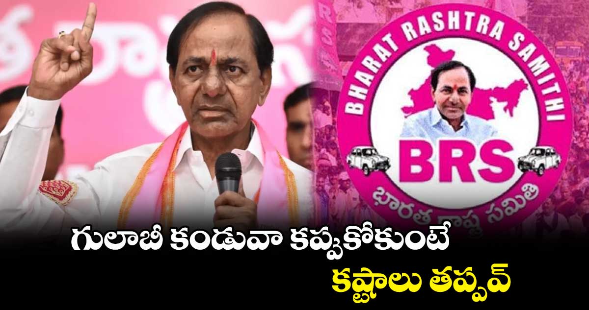 గులాబీ కండువా కప్పుకోకుంటే కష్టాలు తప్పవ్