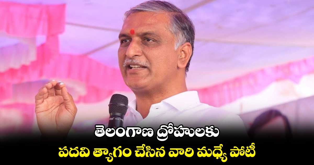 తెలంగాణ ద్రోహులకు- పదవి త్యాగం చేసిన వారికి మధ్యే పోటీ: హరీష్ రావు