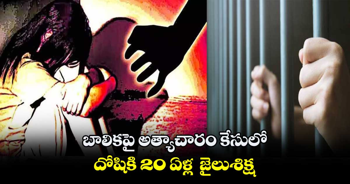 బాలికపై అత్యాచారం కేసులో .. దోషికి 20 ఏళ్ల జైలుశిక్ష