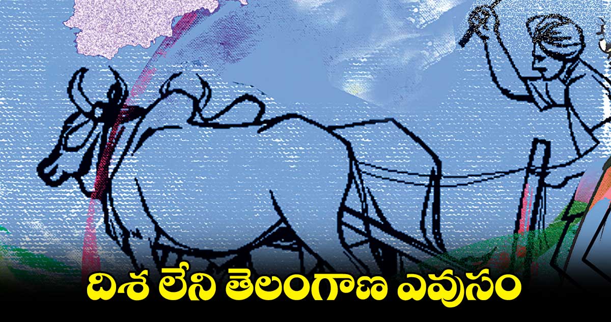 దిశ లేని తెలంగాణ ఎవుసం