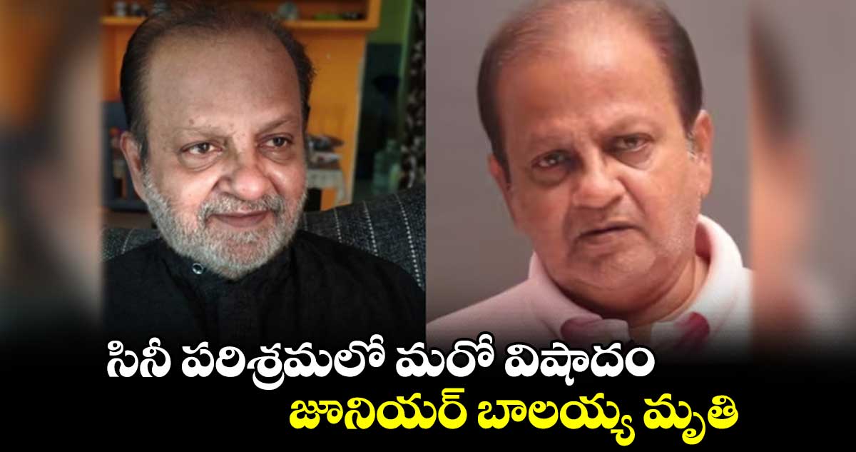 సినీ పరిశ్రమలో మరో విషాదం.. జూనియర్ బాలయ్య మృతి