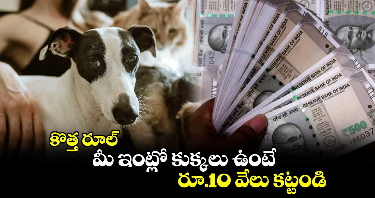 కొత్త రూల్ : మీ ఇంట్లో కుక్కలు ఉంటే రూ.10 వేలు కట్టండి