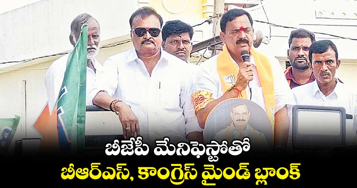 బీజేపీ మేనిఫెస్టోతో బీఆర్ఎస్, కాంగ్రెస్ మైండ్ బ్లాంక్ : వడ్డీ మోహన్ రెడ్డి