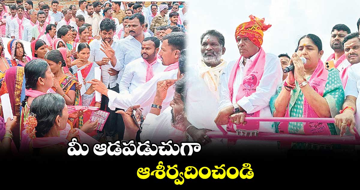 మీ ఆడపడుచుగా ఆశీర్వదించండి : సునీతా లక్ష్మారెడ్డి