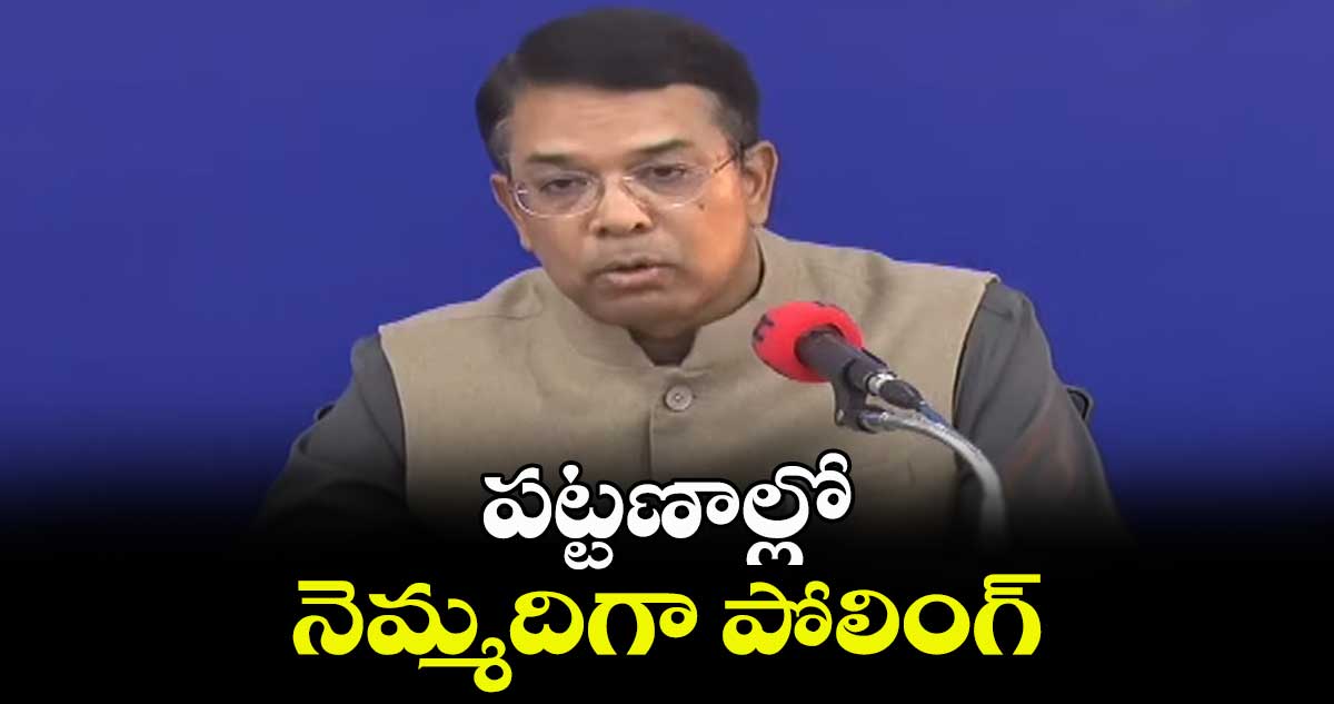 పట్టణాల్లో నెమ్మదిగా పోలింగ్: వికాస్ రాజ్